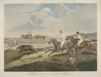 Hog Hunting: The Tired Pig, graverad av S.W. Fores (1785-1825) c.1840 (handfärgad akvatint)