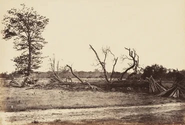 Extreme Line of Confederate Works, Cold Harbor., april 1865 (albumintryck monterat på vävt papper)