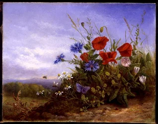 Vilda blommor på en bank