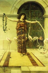 Flamingos dans, 1885