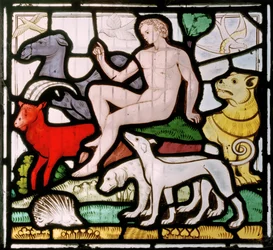 Daylesford, St Peter, Clayton & Bell, John Richard Clayton (1827-1913), Adam bland djuren, Creation window, ca 1860