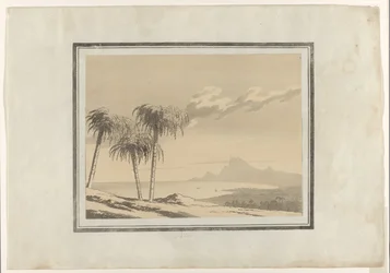 Palm (titel på objekt)