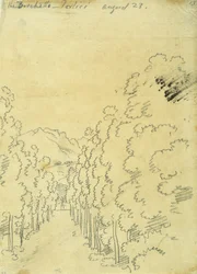 Woodland, från ett album med spårning