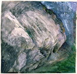 Stenar och vegetation vid Chamouni, 1854