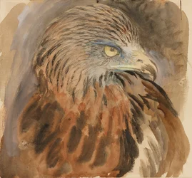 The Head of a Kite, från Life, 30 augusti - 1 september 1870.