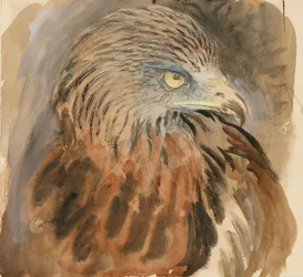 The Head of a Kite, från Life, 30 augusti - 1 september 1870.