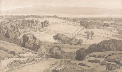 Holt Heath, nära Norwich