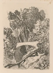 Liber Studiorum: Platta 11: Parsons Bridge, Cardingshire, 1838