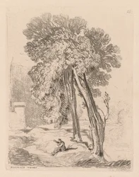 Liber Studiorum: Plate 18, Trees at Norwich Thorp, Norfolk, 1838.