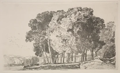 Studiebok: Twickenham