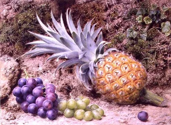 En ananas och druvklasar på en mossig bank