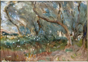 Landskap, Korfu, 1909