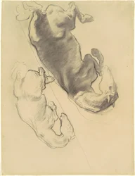 Studier för Gogs och Magogs fall, 1903-1916.