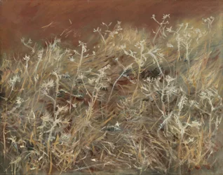 Tistlar, 1885-89