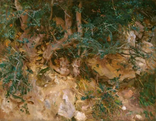 Valdemosa, Mallorca: Thistles and Herbage on a Hillside, 1908.