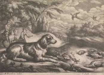 Jakthund och fasaner