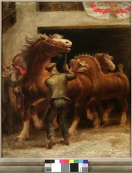 Belgiska hingstar