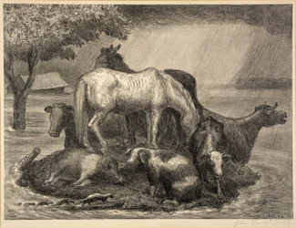 Fristad