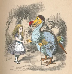 Alice and the Dodo, 1889
