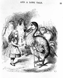 Alice i Underlandet: möte Alice med en dodo av Lewis Carroll, illustration av den första upplagan av Tenniel