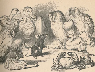 Illustration till kapitlet ”Ett partimöteslopp och en lång berättelse”. Alice och olika varelser, såsom
