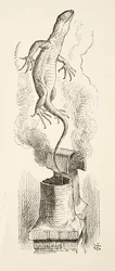 There Goes Bill!, from Alices Adventures in Wonderland by Lewis Carroll (1832 - 98), pub. 1891 