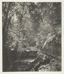 Ett bergspass i Formosa, ca. 1868.