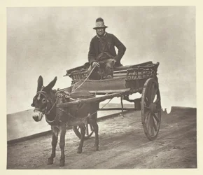 Black Jack, 1881.