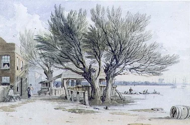 Byggnader och pollarde träd på stranden av Themsen, Millbank (akvarell, penna, penna och bläck)