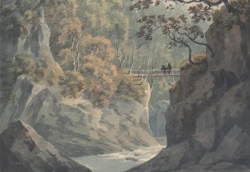 Alpine Bridge och Woodland Scenery nära Pistil y Maw