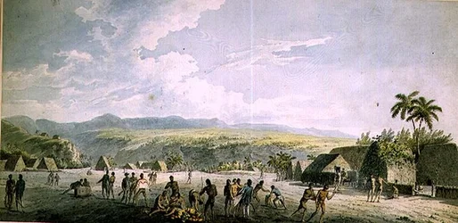 En inlandsvy i Atooi