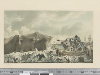 F.32 Sea Horses, ca 1773-84 (akvarell)