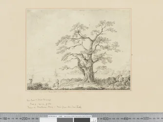 F.44 Utsikt över havet, stort träd i mitten, ca 1783-84