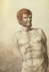 Infödd i Van Diemens land, nu Tasmanien, januari 1777, teckning av John Webber (1750-1793) Australien