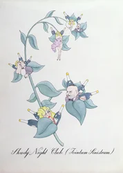 Shady Night Club (Jointum Sinistrum.) illustration från "The Bogus Book of Botany" av John Weir