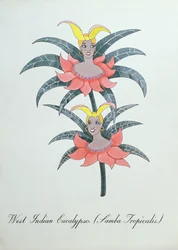 West Indian Eucalypso (Samba Tropicalis.), illustration från "The Bogus Book of Botany" av John Weir