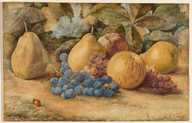 Stilleben av frukt: äpplen, päron och vindruvor på marken