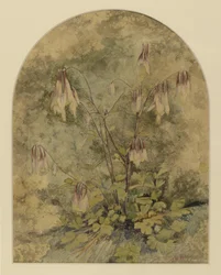 Vildblommor (wc på papper)
