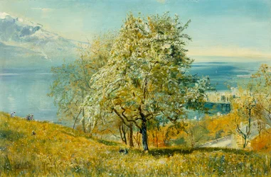 En alpin sjö