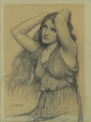 Flora (svart krita på buff papper)