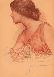Från en studie i sangvinisk, c1899