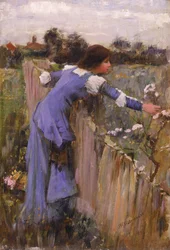 Blomsterplockaren