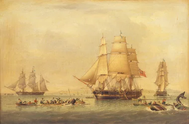 Whalers of the South Seas Fishing,