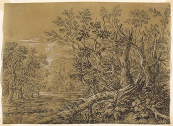 Ström genom en gammal skog