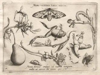 Arketyper och studier: Döden är linjen som markerar slutet på alla del II, plåt 5, 1592.