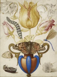 Arrangemang av blommor i en vas med insekter, 1594 (Akvarell med guld på pergament)
