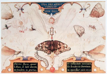 Diptyk med blommor och insekter, 1591.