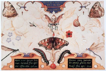 Diptyk med blommor och insekter, 1591.