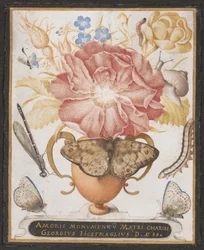 Stilleben med blommor, en snigel och insekter, 1589.