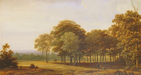 Vägen i skogen